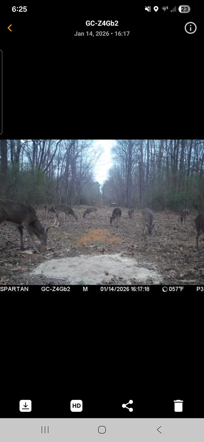 Customer photo review of VisX/VisMax 270 Degree See Through Pop Up Hunting Blind