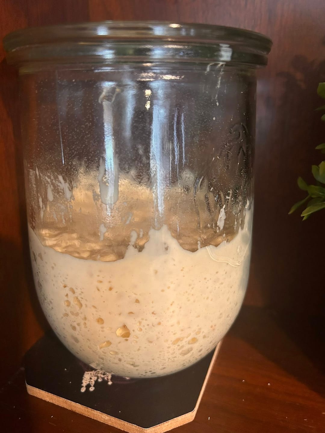 Customer photo review of Sourdough Recipe Bundle: A Collection Of 5 Our Most Viral & Requested Recipes!