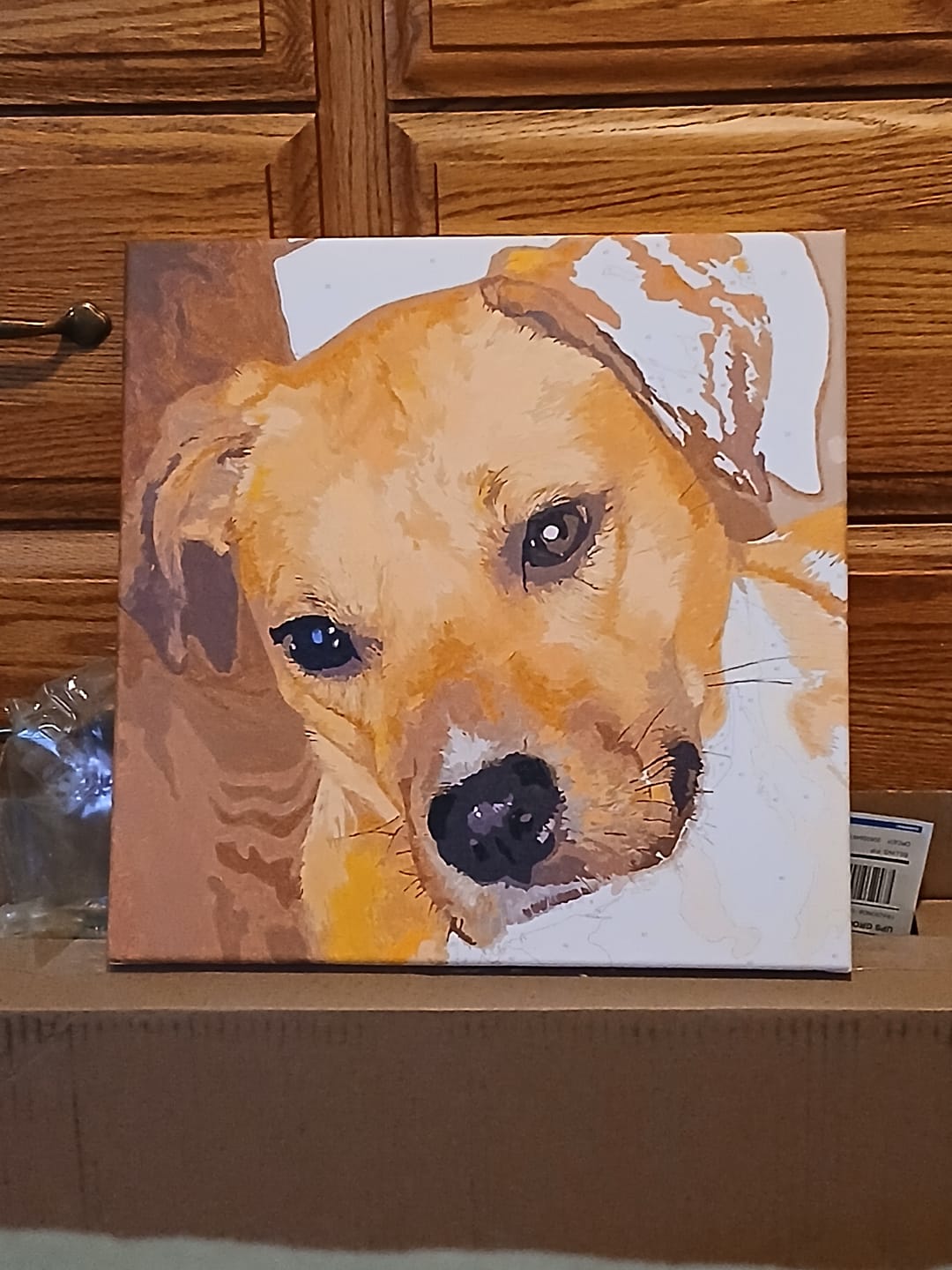 Customer photo review of Custom Paint by Number
