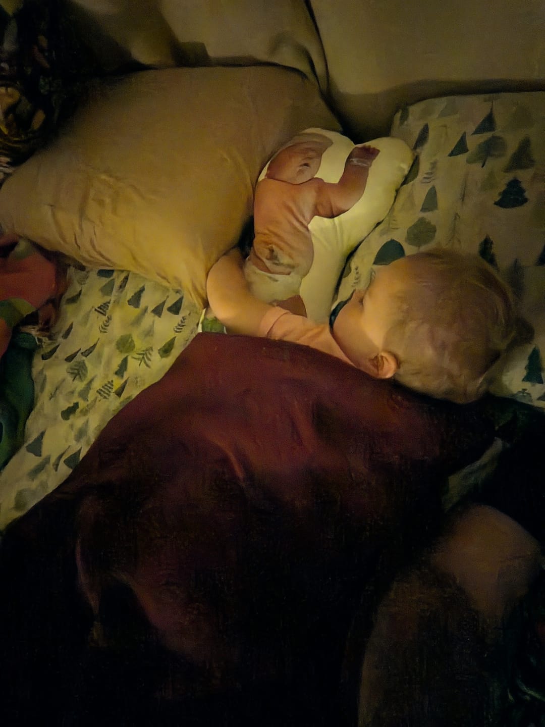 Customer photo review of Photo Birth Pillow