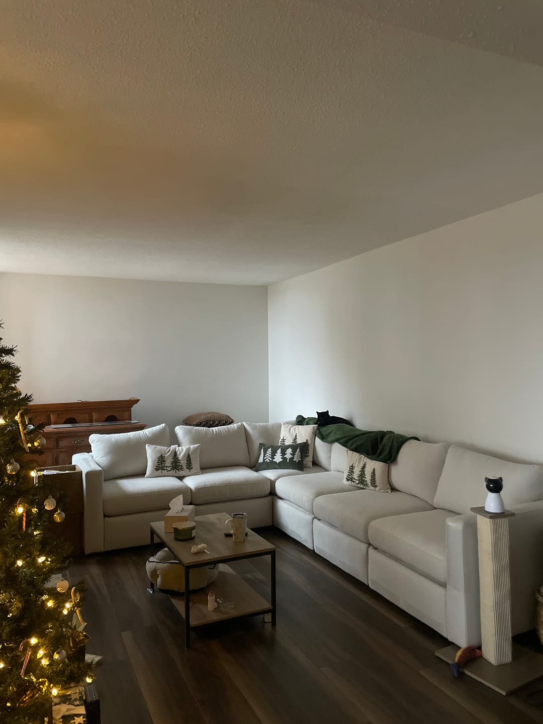Customer photo review of Elite Comfort Sectional