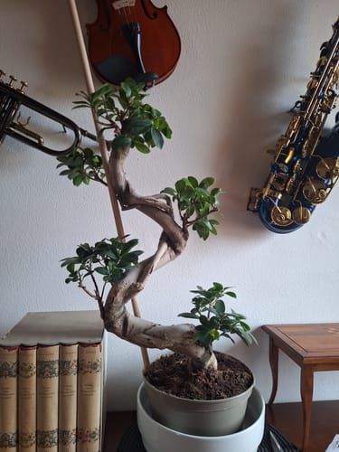 Customer photo review of TESTOSTERONE PACK CB®