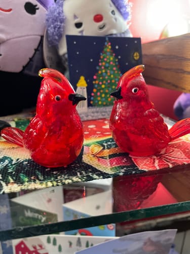 Customer photo review of Glass Salt and Pepper Shakers, Cardinals