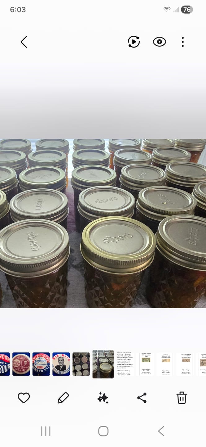 Customer photo review of Bulk Regular Mouth Canning Lids – 156 Pack