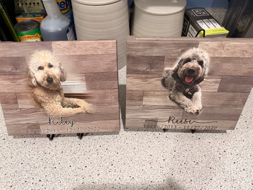 Reviewer's two custom pet memorial portraits displayed on a countertop, each featuring a dog's photo on a wood-grain canvas.