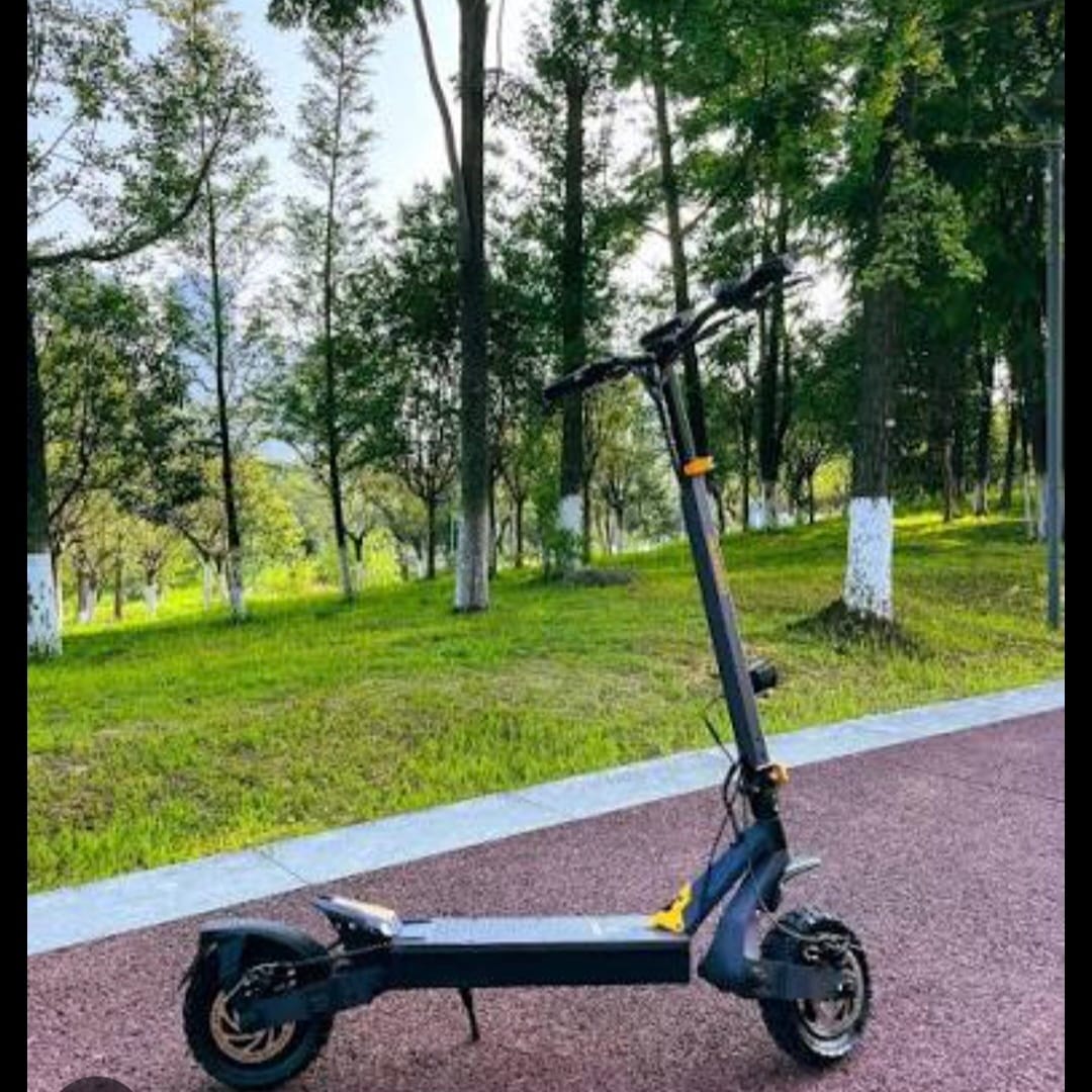 Customer photo review of Ausom L1 Electric Scooter