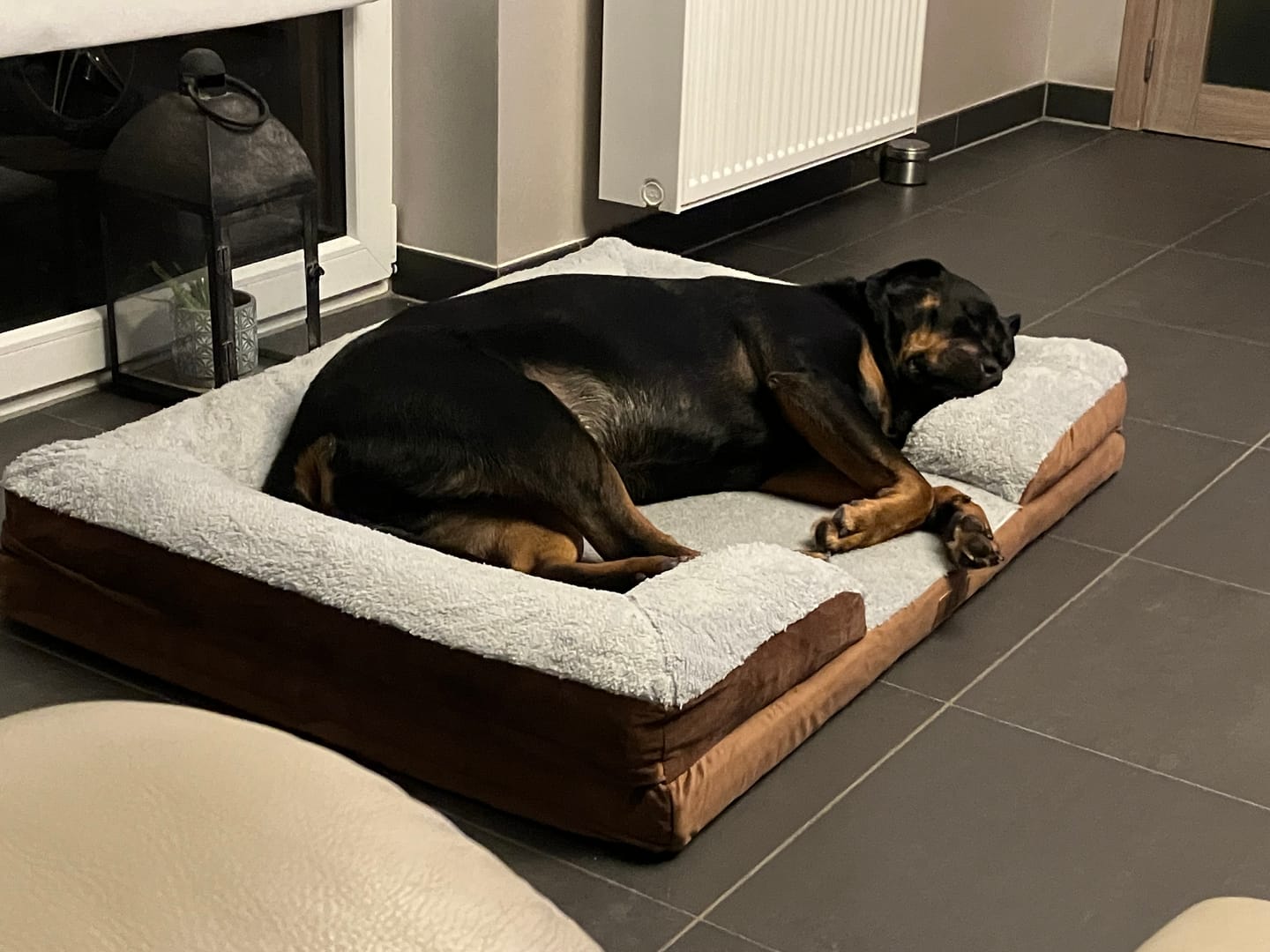 Customer photo review of Pet Perfect Hondenmand - Orthopedisch - Afritsbaar - Bruin