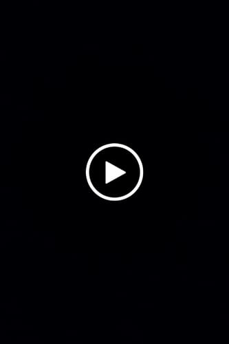 Customer video review of Lot Imported DAT High Quality Lamp DT-712