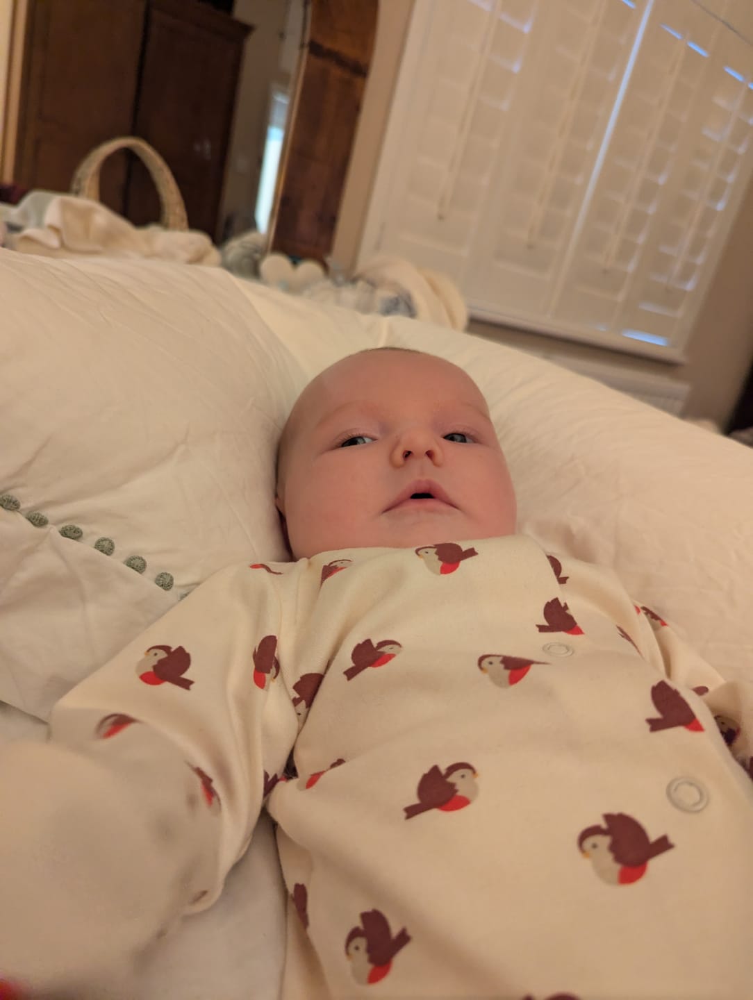 Customer photo review of Little Robin Organic Babygrow