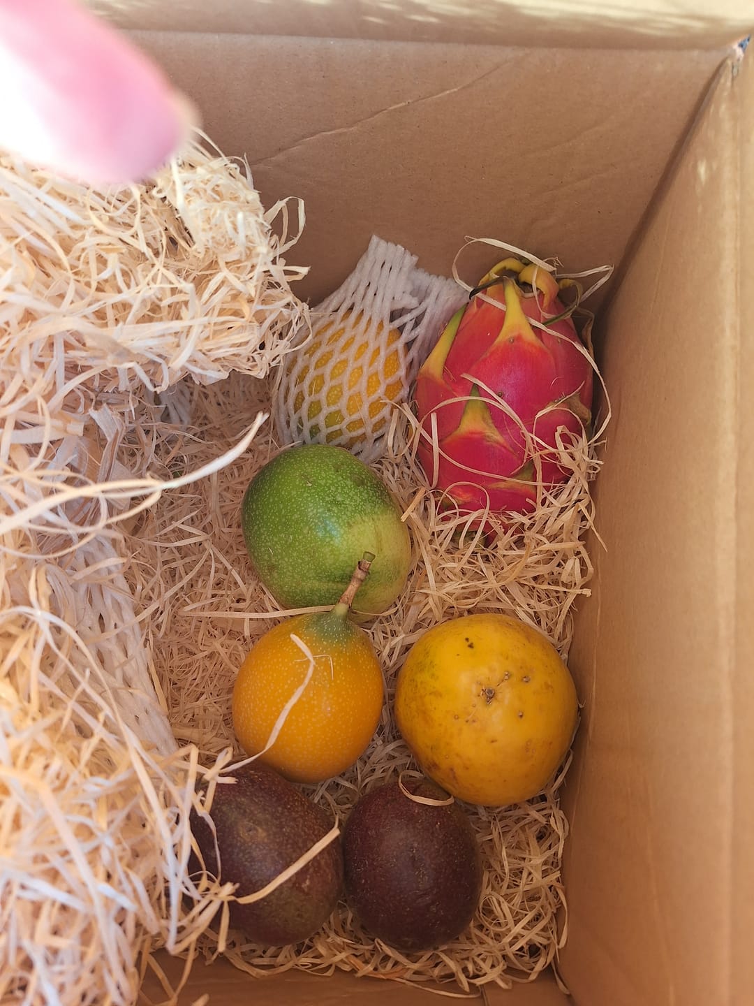 Customer photo review of Fruchtfeuer Tropic Mix Box Sonderpreis