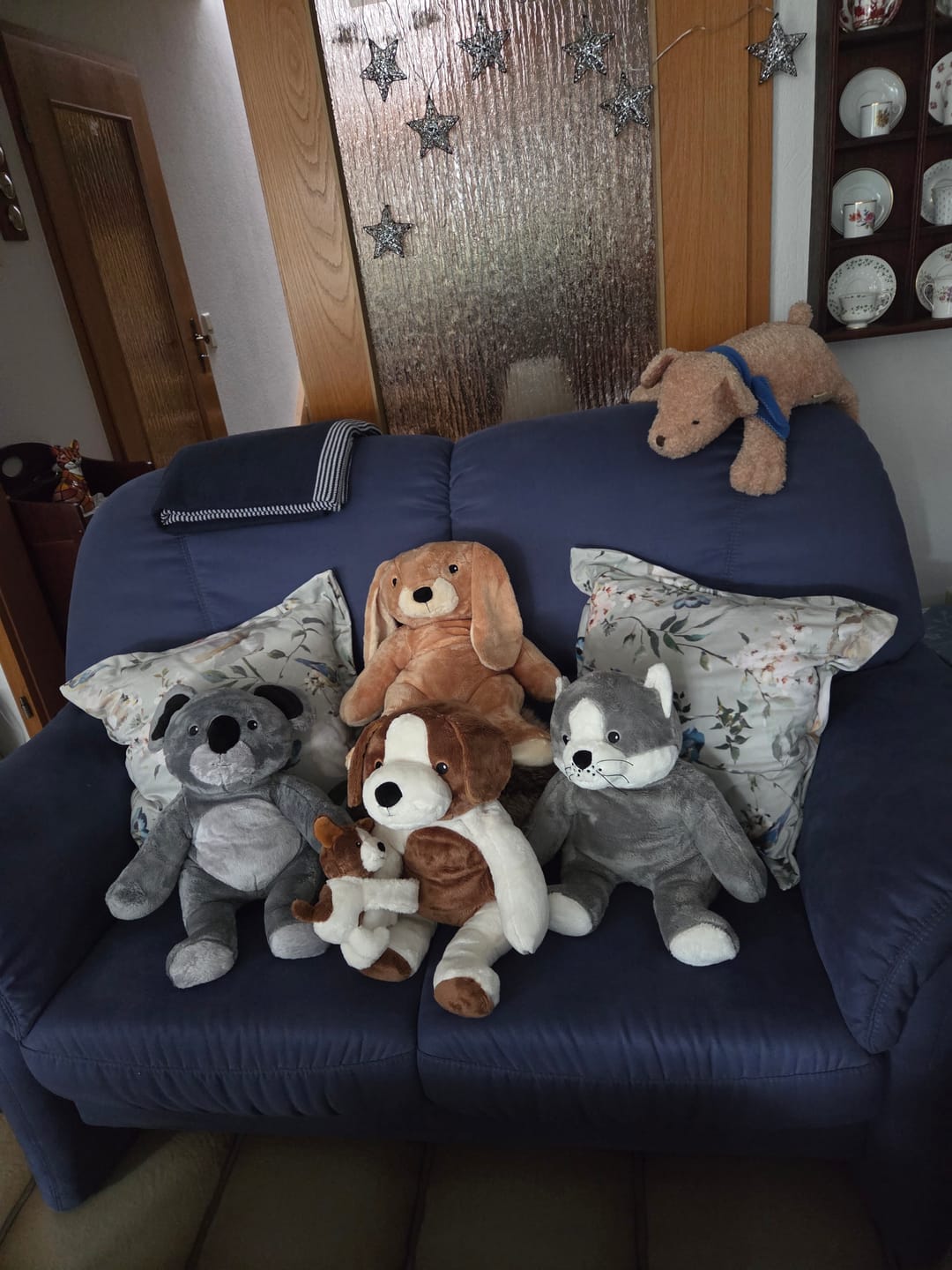 Customer photo review of Mini & Grote hond - Je bespaart €20