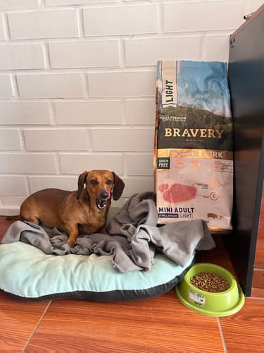 Customer photo review of BRAVERY IBERIAN PORK MINI ADULT|Perro Mini Adulto Cerdo Ibérico 7 kg