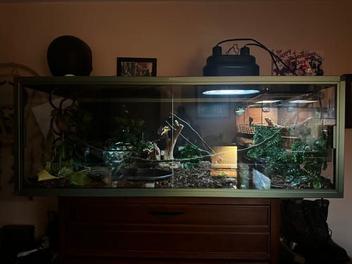 Customer photo review of Glass door replacement (Door handles not included)