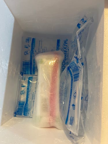 Reseñador mostrando el interior de la hielera con Prolia y paquetes de gel refrigerante para su conservación.