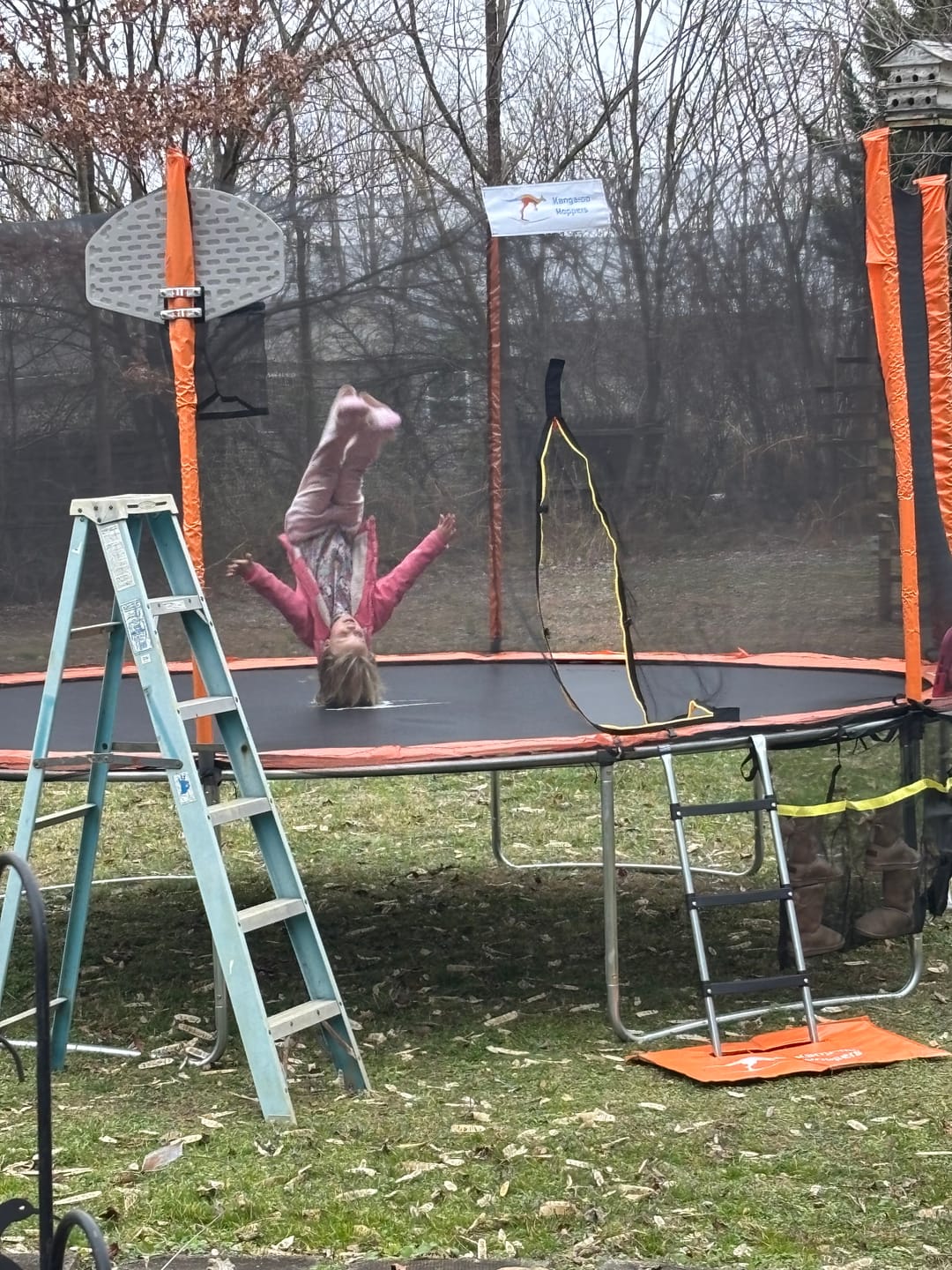 Customer photo review of Kangaroo Hoppers 15FT Trampoline for Kids & Adults