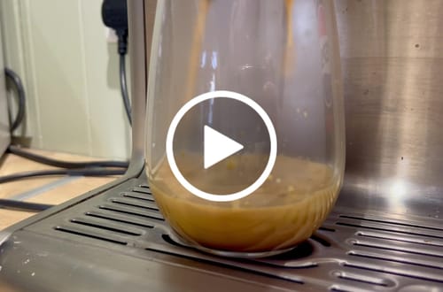 Customer video review of Halcyon Decaf