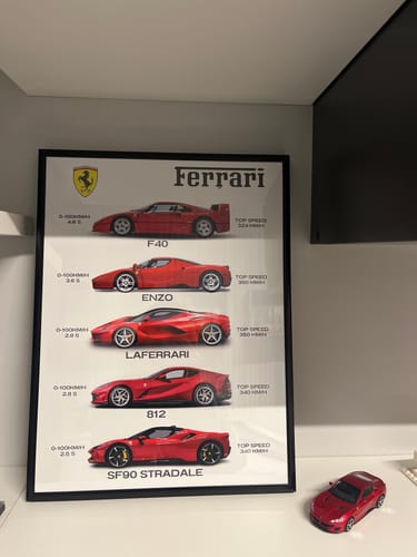 Customer photo review of Ferrari - Collection