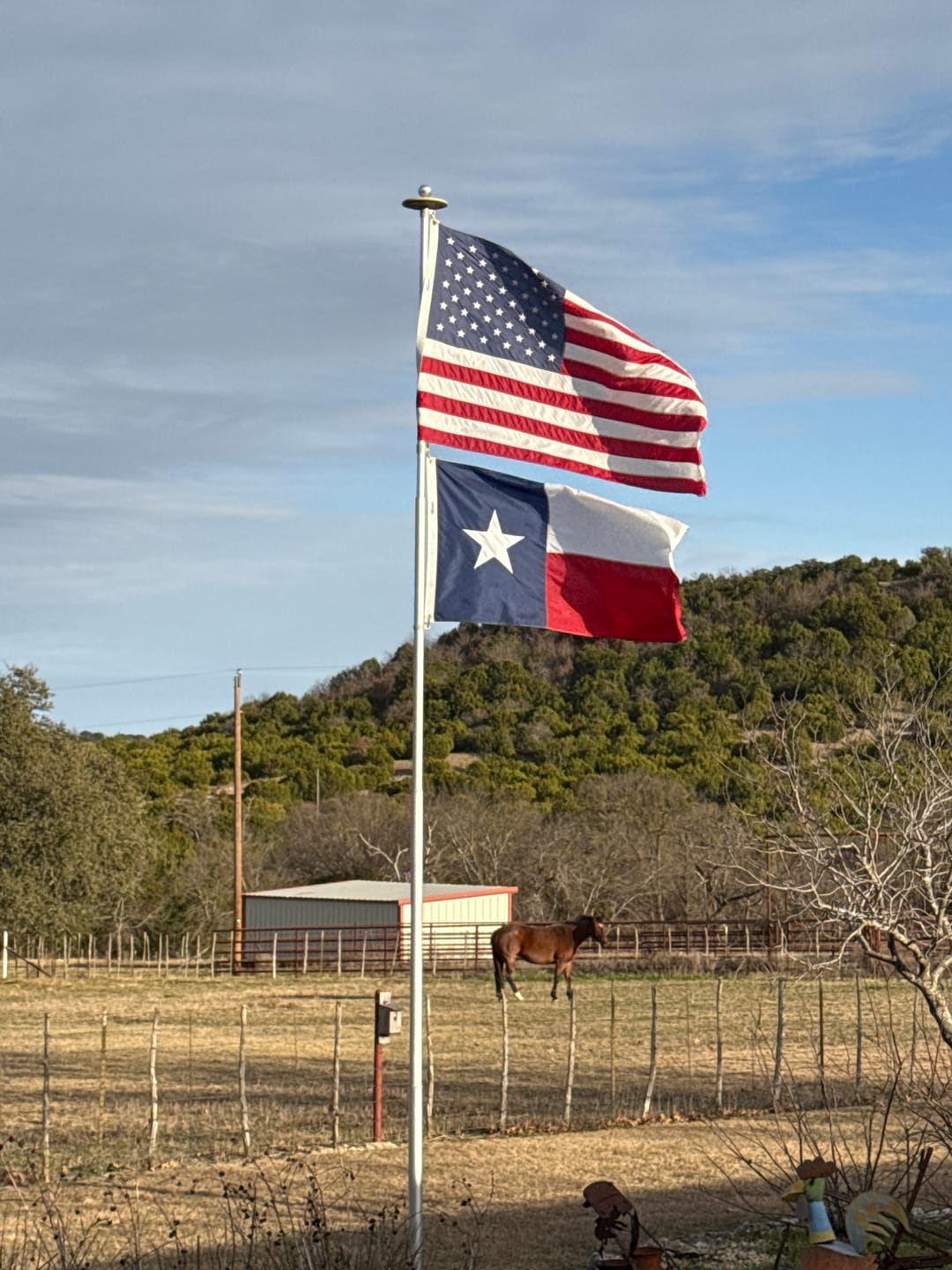 Customer photo review of 3' x 5' Texas Flag