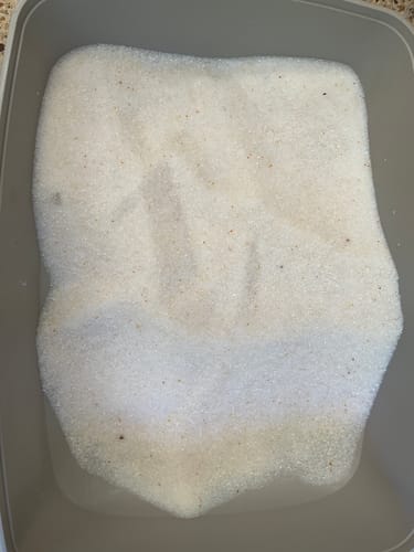 Customer photo review of 3 Month Supply - 3 Cat