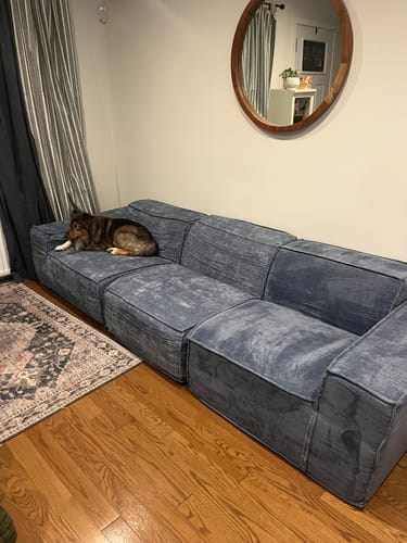 Customer photo review of M1 Sofa Sectional