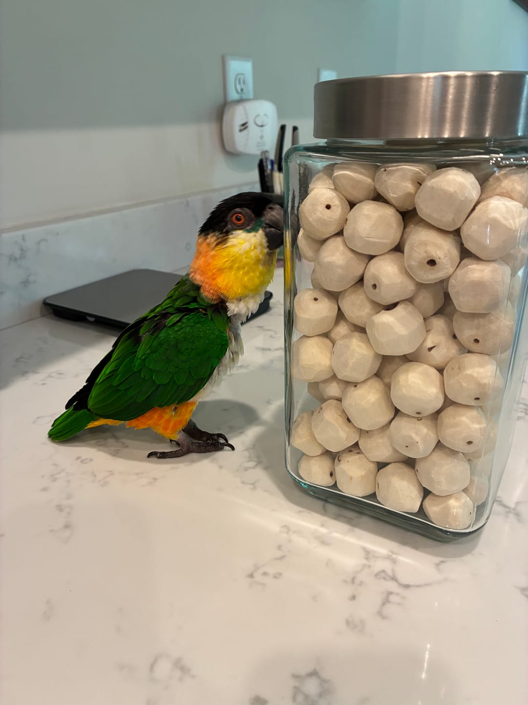 Customer photo review of Sola Balls - 10 Pack