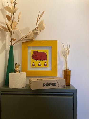 Un client montre un rouleau de papier toilette Confort et sa boîte Popee, joliment disposés sur un meuble.