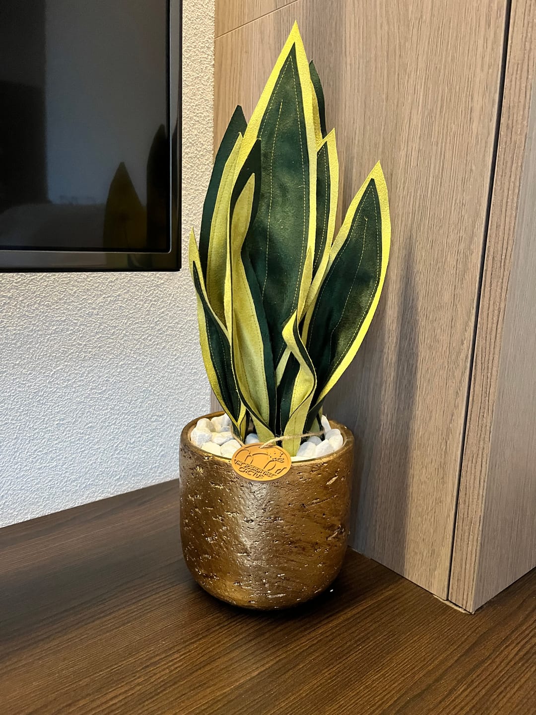 Customer photo review of Sanseveria - spedizione gratuita