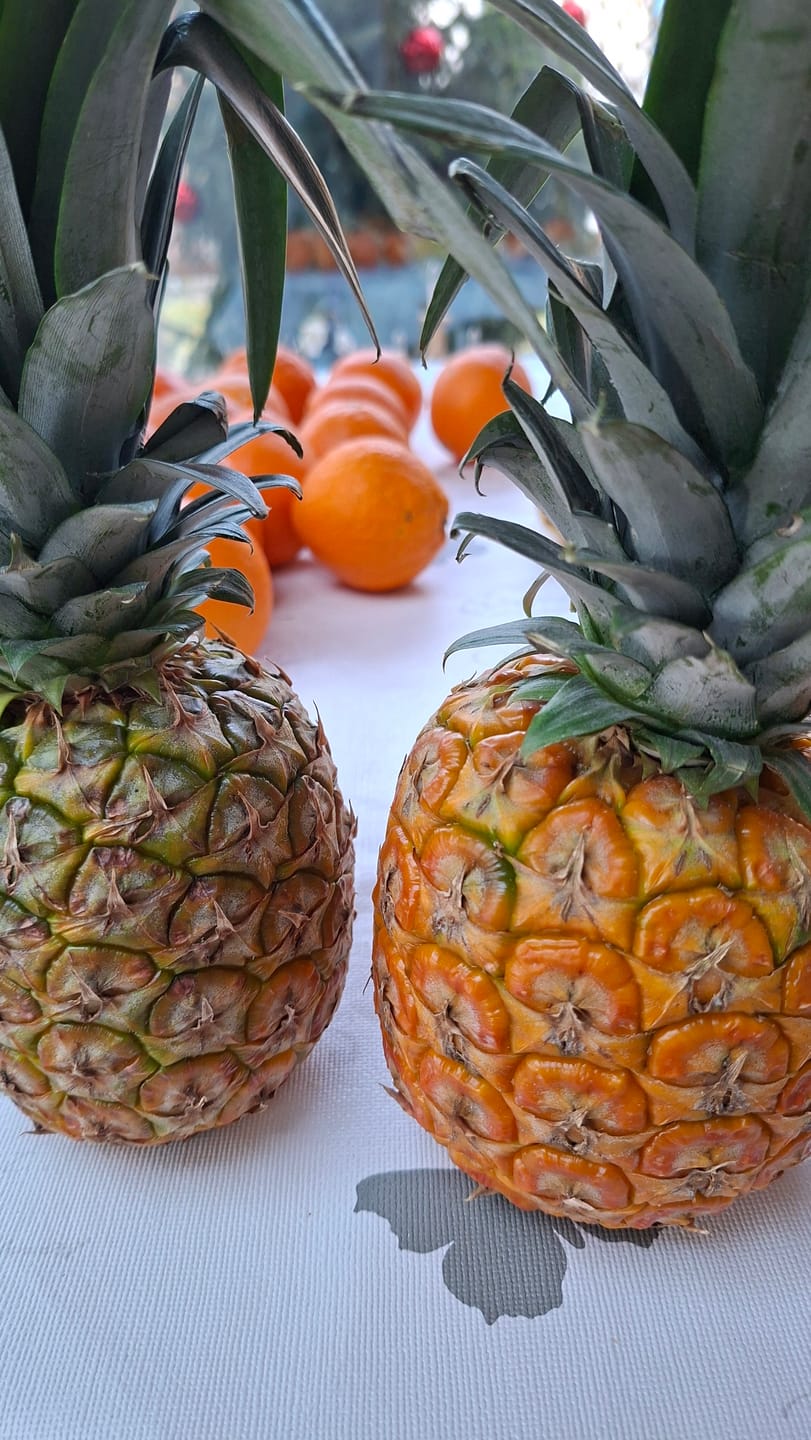 Customer photo review of Ananas Flugware reifgeerntet (Stk. ca. 1,5kg-2kg) Aktionspreis %