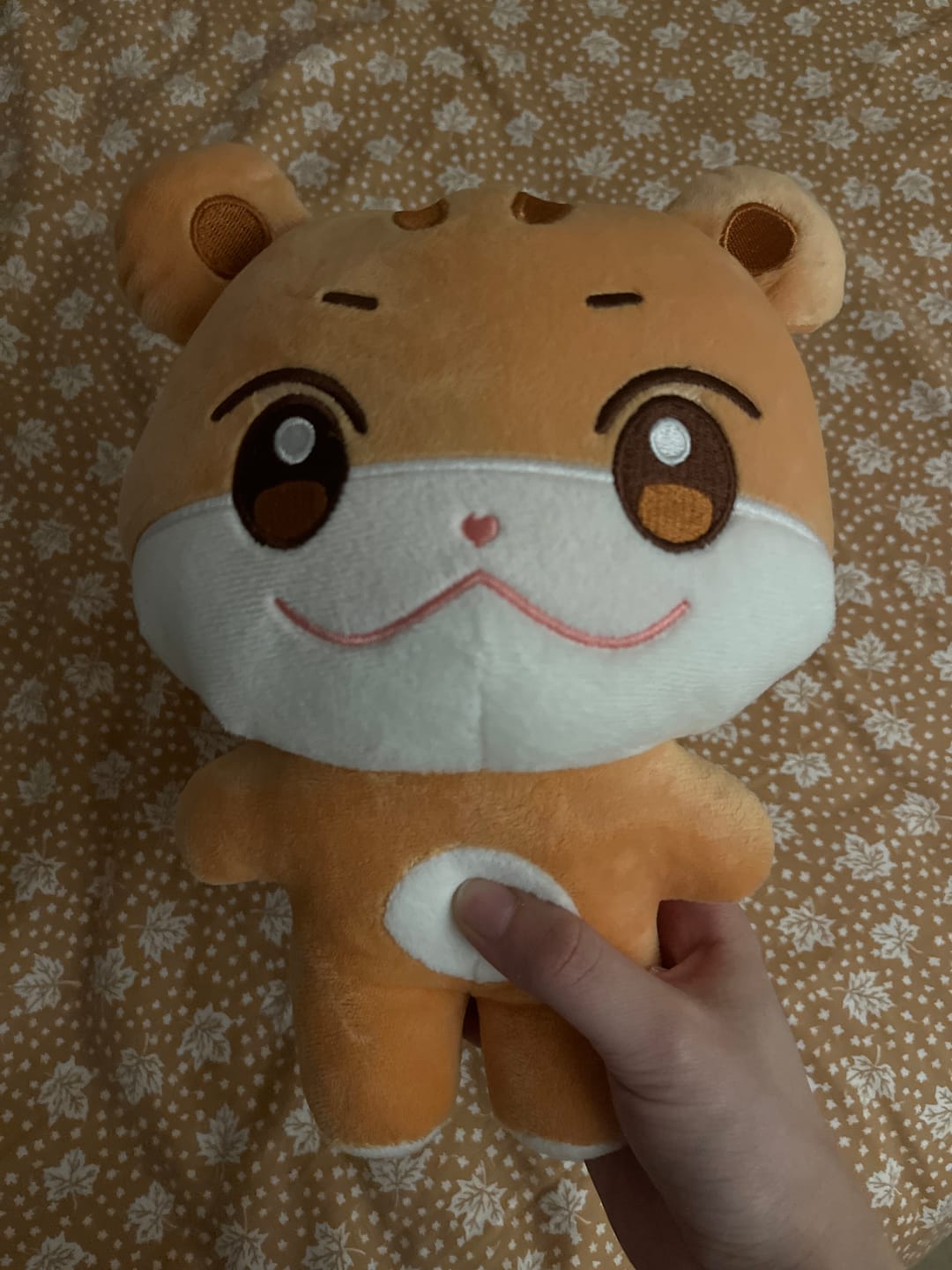 Customer photo review of Ateez x ANITEEZ IN ILLUSION Plush Doll