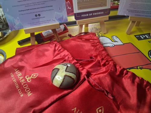 Customer's Septarian Palm Stone from the VIP Crystal Club resting on its red satin pouch.