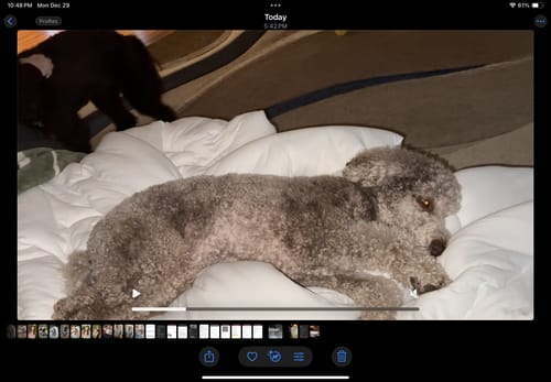 Customer photo review of MarshMellow Comforter