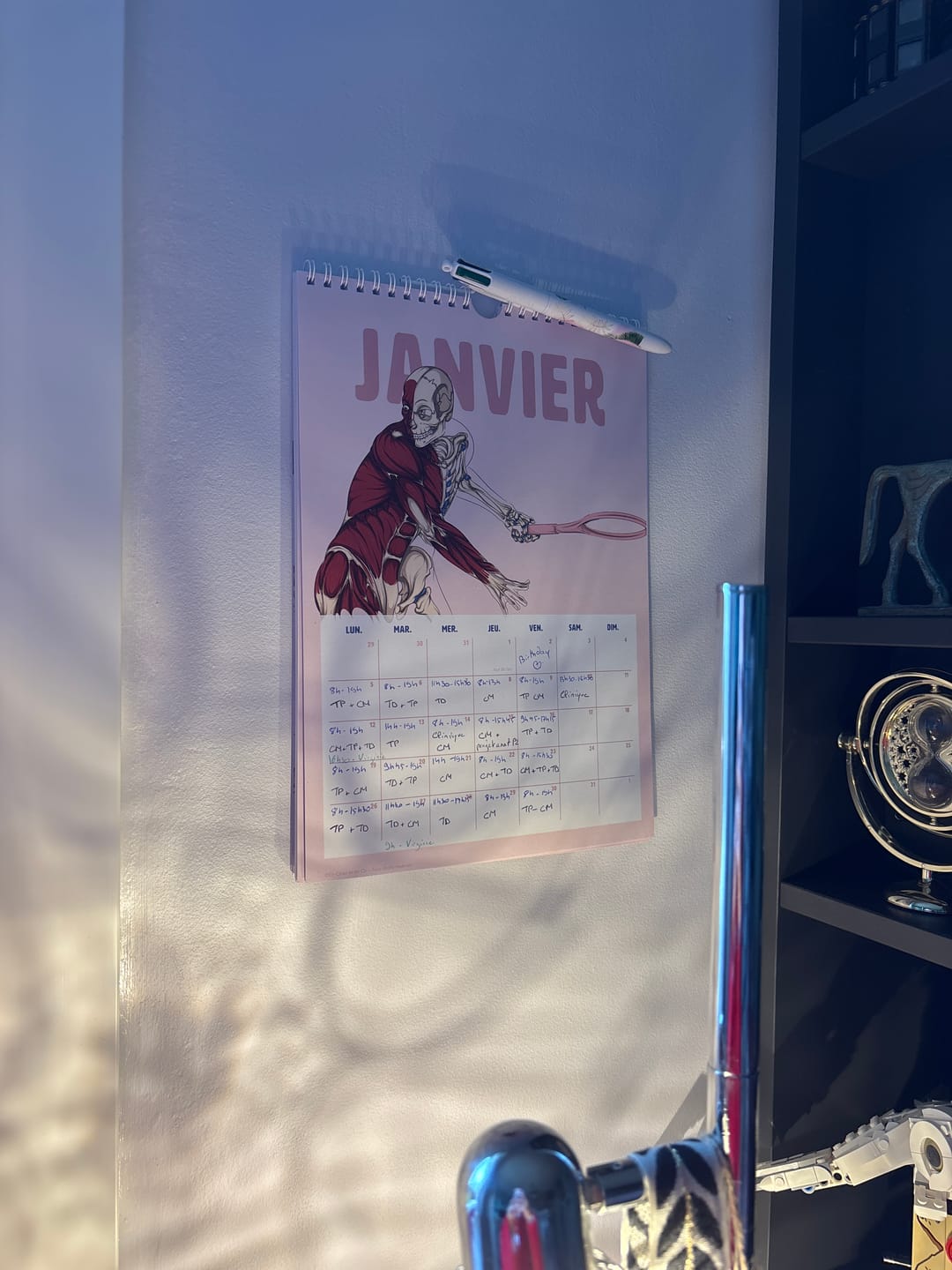 Customer photo review of Calendrier 2026 – Anatomie en Mouvement