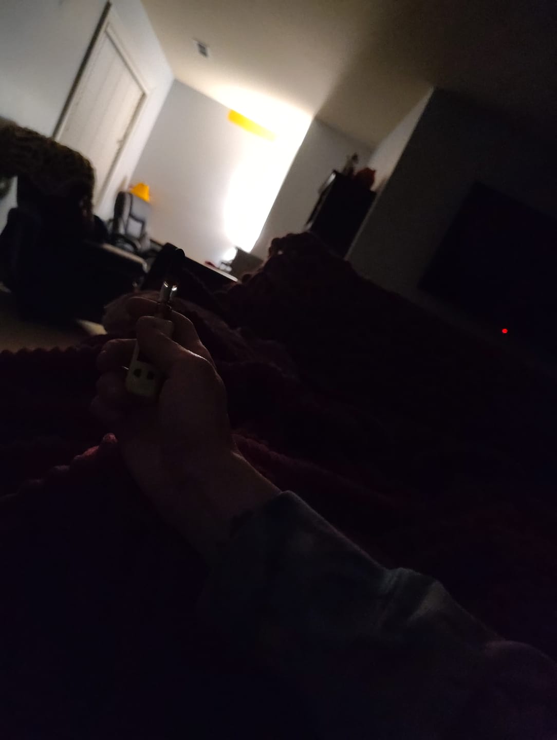Customer photo review of 1 Gram THCA Blend Vape Cartridge | Pink Lychee - Hybrid