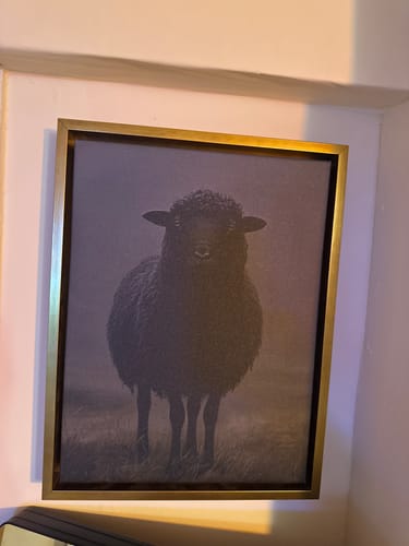 Customer photo review of Black Sheep Print
