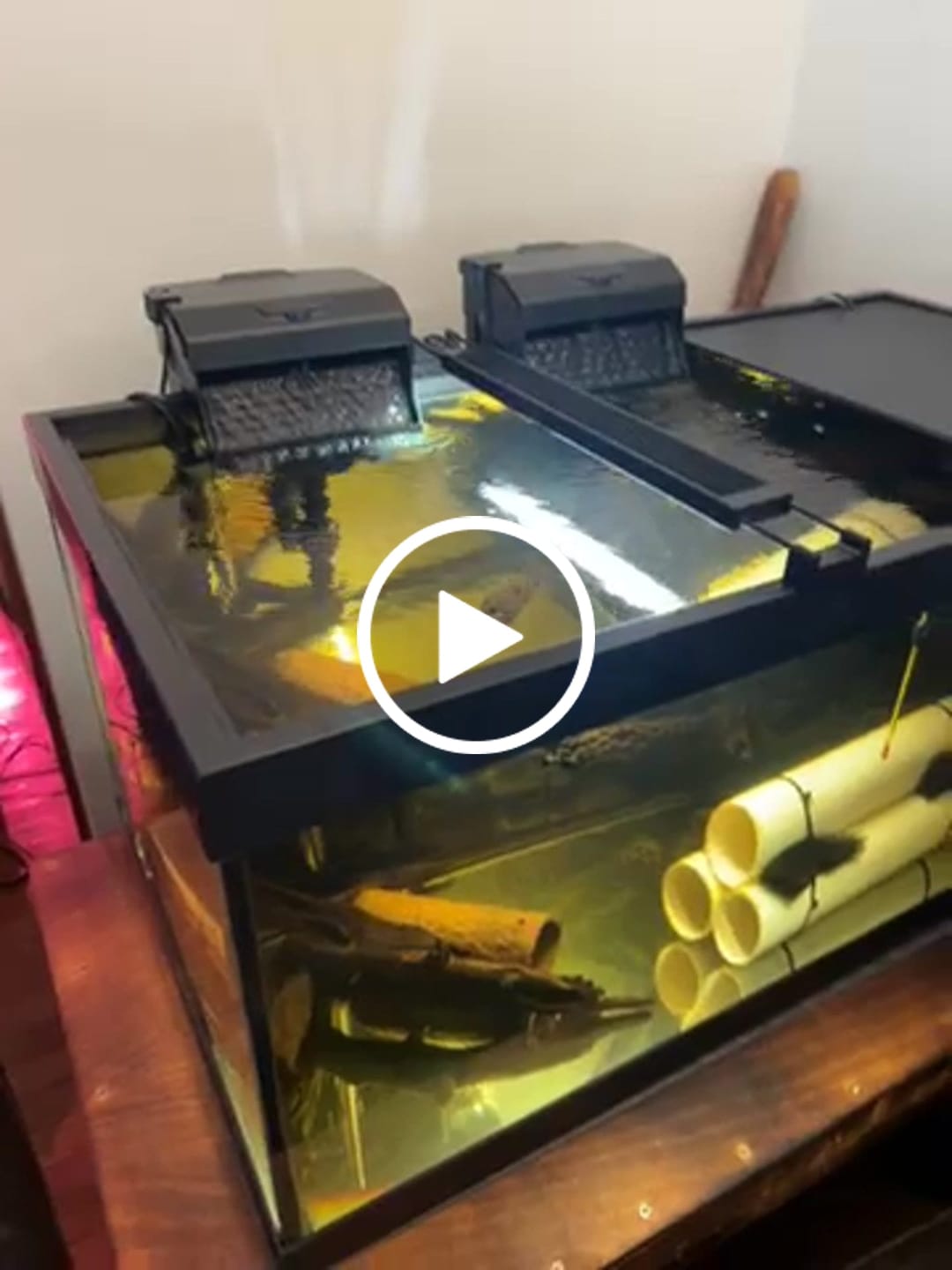 Customer video review of Aqua Filtra By Sicce