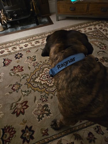 Customer photo review of Embroidery Customisation