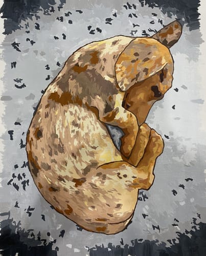 Customer photo review of Custom Landscape Paint By Numbers