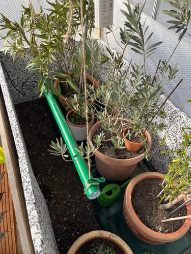 Customer photo review of Elektrogewächshausheizung Kompakter Frostwächter mit 135 Watt