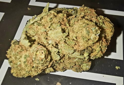 Customer photo review of Strawberry Cough - Minis - 14 Grams - Sativa