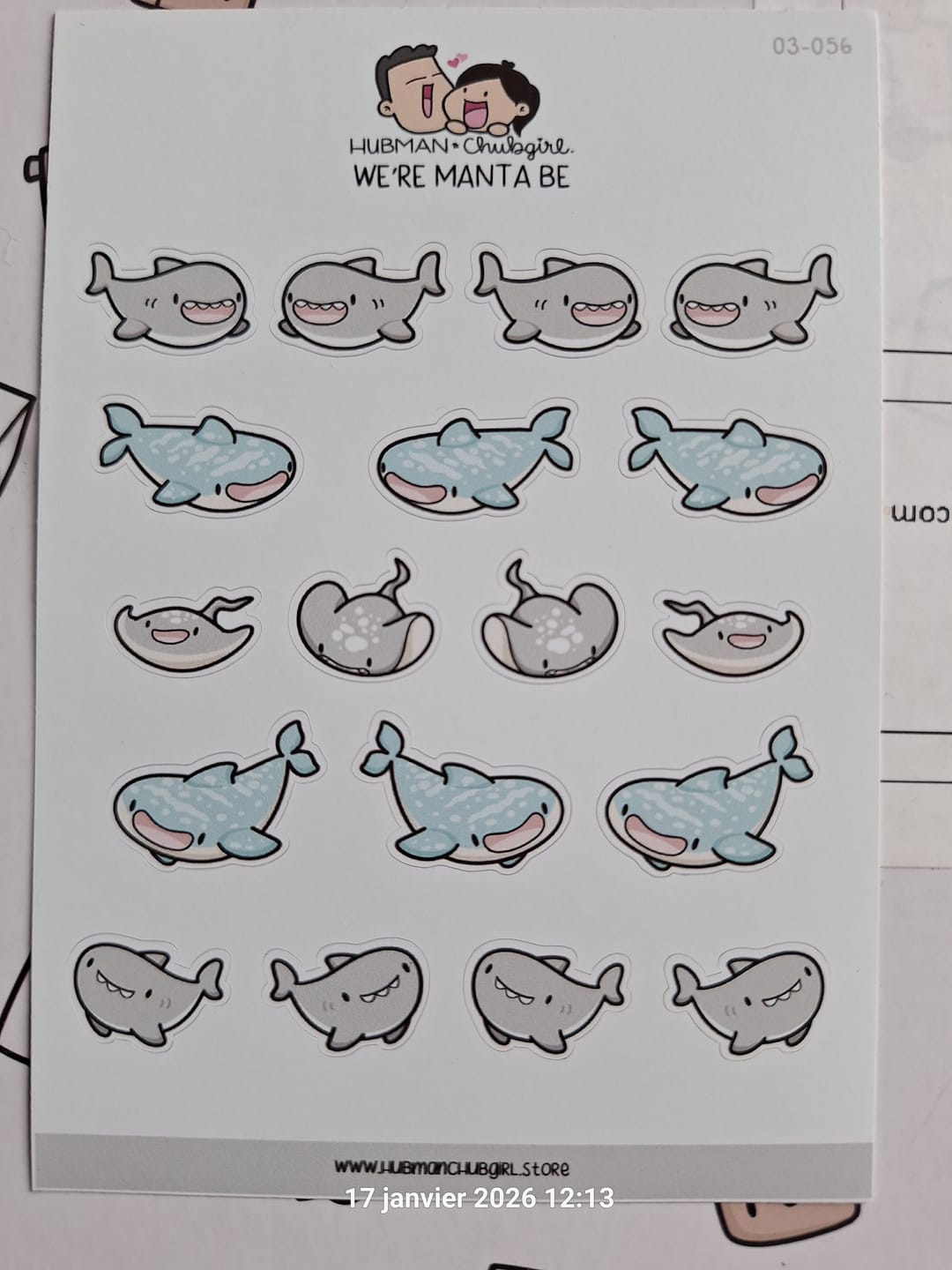 Customer photo review of We're Manta Be Planner Stickers