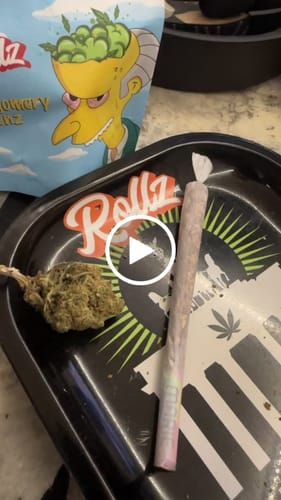 Customer video review of Montgomery Benz THCA Flower