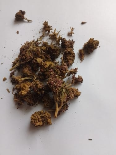 Customer photo review of Purple Kinky Kush – Power Level 5/5