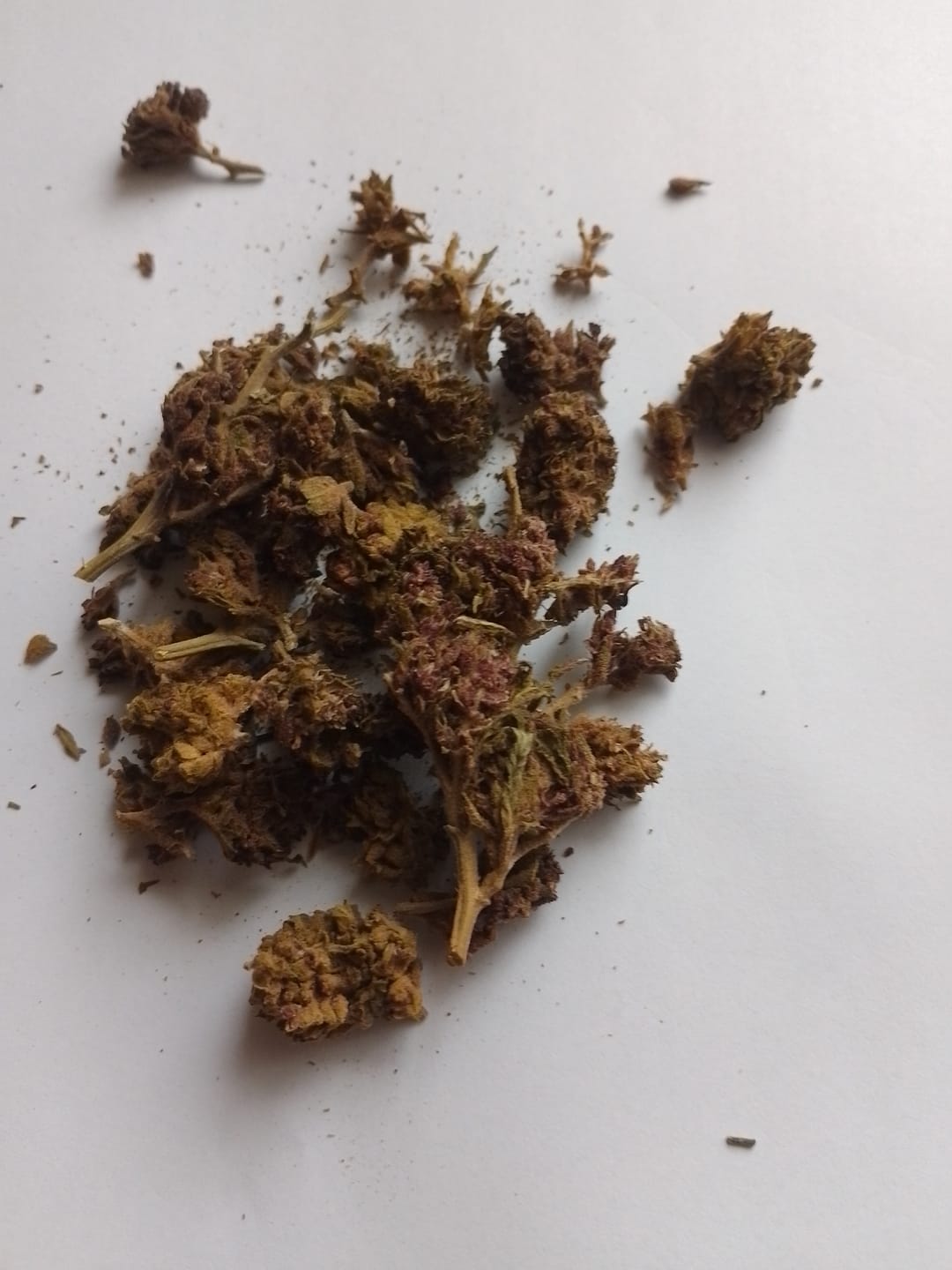 Customer photo review of Purple Kinky Kush – Power Level 5/5