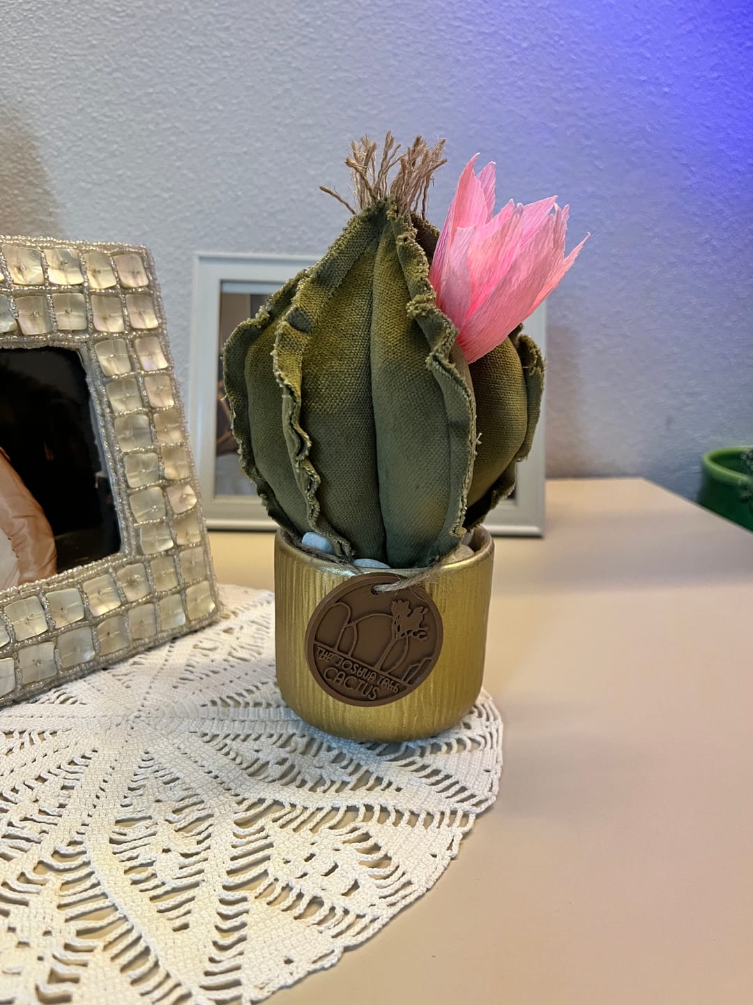 Customer photo review of Mini Cactus in velluto verde menta, vaso in ceramica oro, altezza circa 17 cm (SOLO VERSIONE PICCOLA) - fiore staccabile - spedizione gratuita