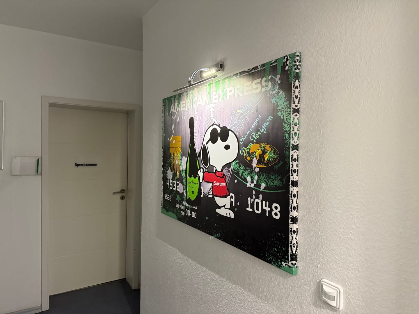 Customer photo review of Dom Snoopy