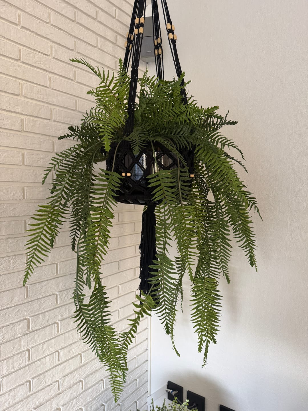 Customer photo review of Varen Kunst Hangplant 110cm