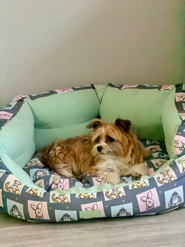 Customer photo review of Disney© Dog Bed - Winnie + Friends