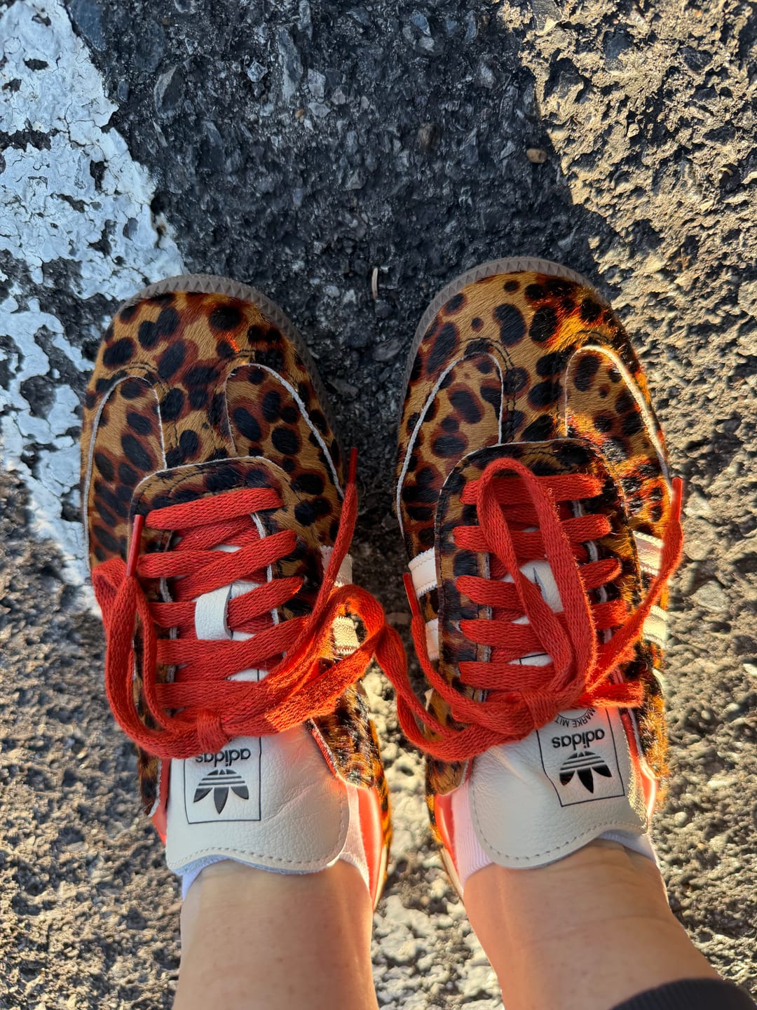 Customer photo review of adidas Samba OG Red Leopard Women's