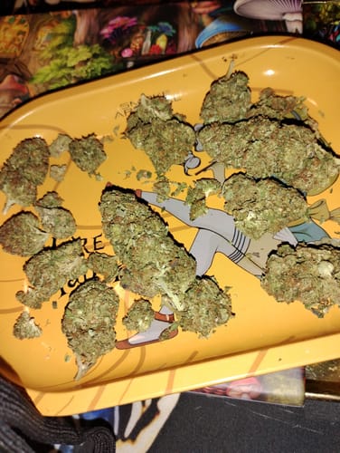 Customer photo review of White Widow - 28 Grams - Hybrid