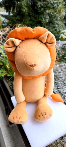 Customer photo review of LOUIS LE LION - L